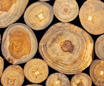 유해물질 발생 안됨